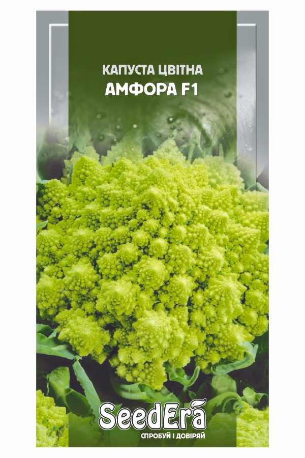 Насіння капусти Амфора F1, 30 шт, Seedera | Семена капусты Амфора F1, 30 шт, Seedera
