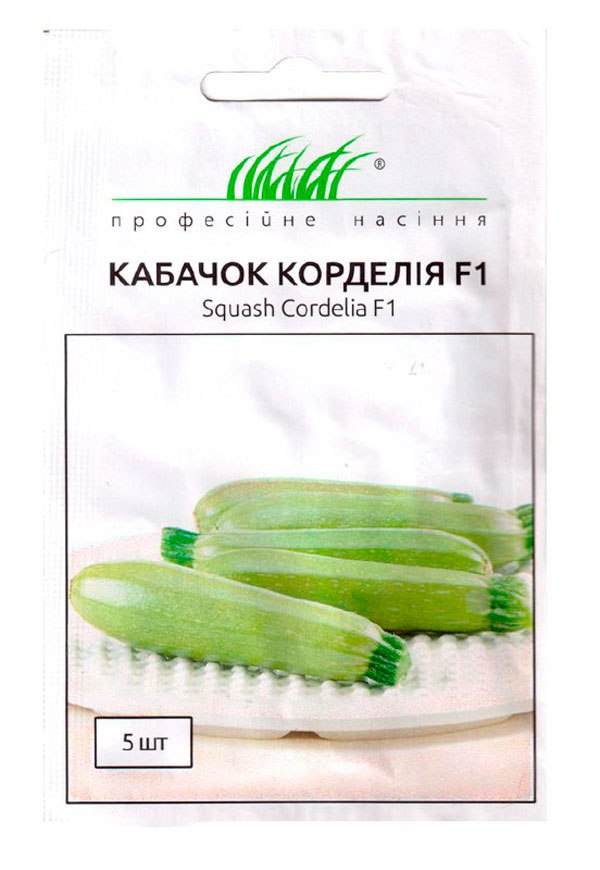 Cordelia F1 zucchini seeds, 5 seeds, Syngenta (Netherlands)