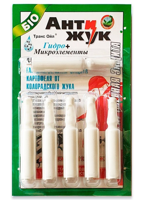 Antizhuk 6 ampoules of 2 ml