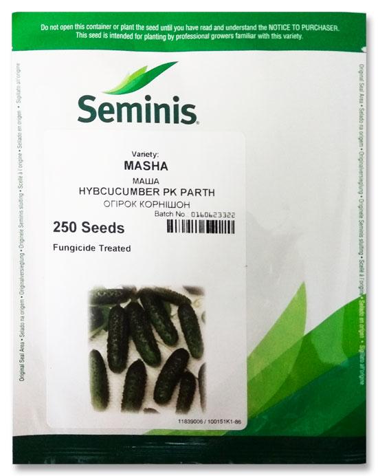 Masha F1 Cucumber Seeds, 250 seeds Seminis (Netherlands)