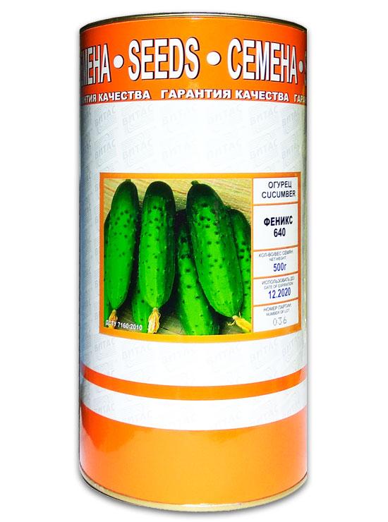 Phoenix 640 Cucumber Seeds, Coated, 500 g