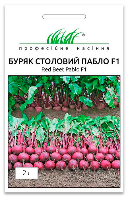 Семена свеклы Пабло F1, 2 г Bejo Zaden (Голландия)