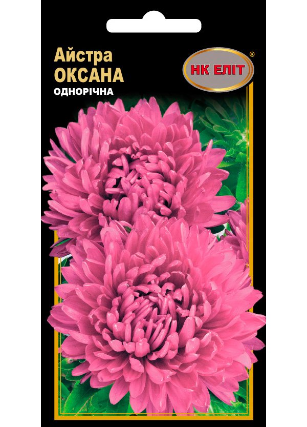 Семена цветов Астра Оксана, 0.3 г