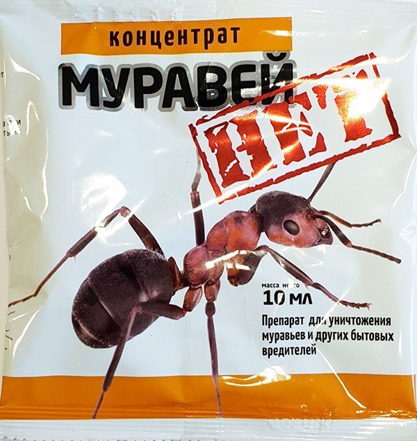 No Ants Concentrate 10 ml