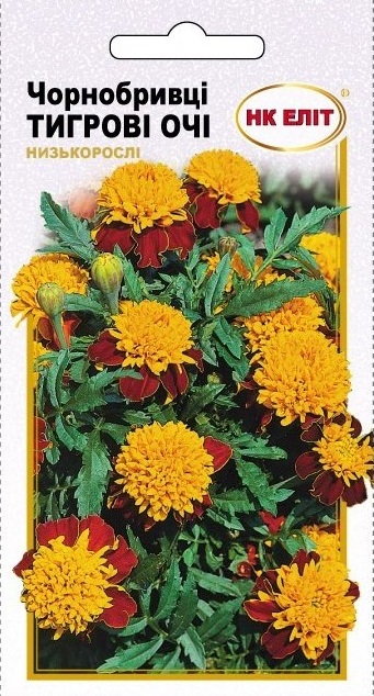 Tiger Eyes Marigold Flower Seeds, 0.5 g