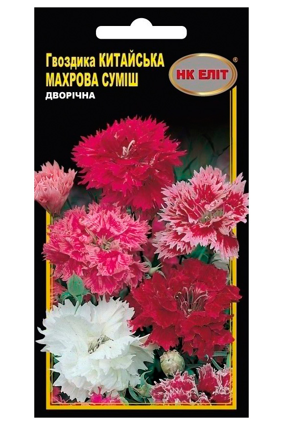Chinese Carnation Terry Mix Flower Seeds, 0.2 g