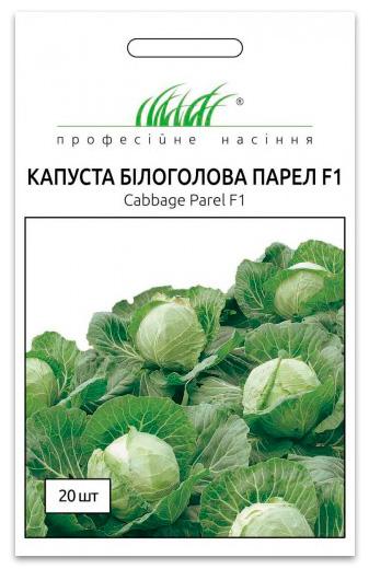 Parel F1 Cabbage Seeds, 20 seeds Bejo Zaden (Netherlands)