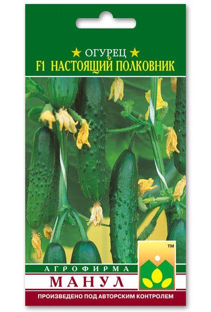 Real Colonel F1 Cucumber Seeds, 10 seeds