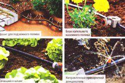 Как сделать полив огорода