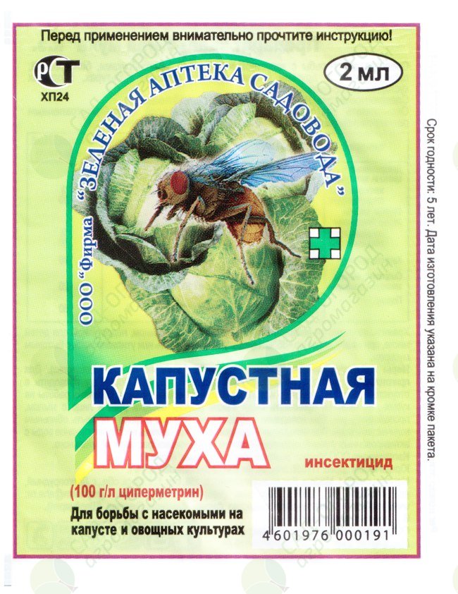 6 опасных насекомых в России, которые могут испортить путешествие