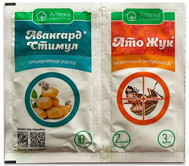 Семіз адамдардың трахнияланатын порно фотосуреттері Арық жігіт порно