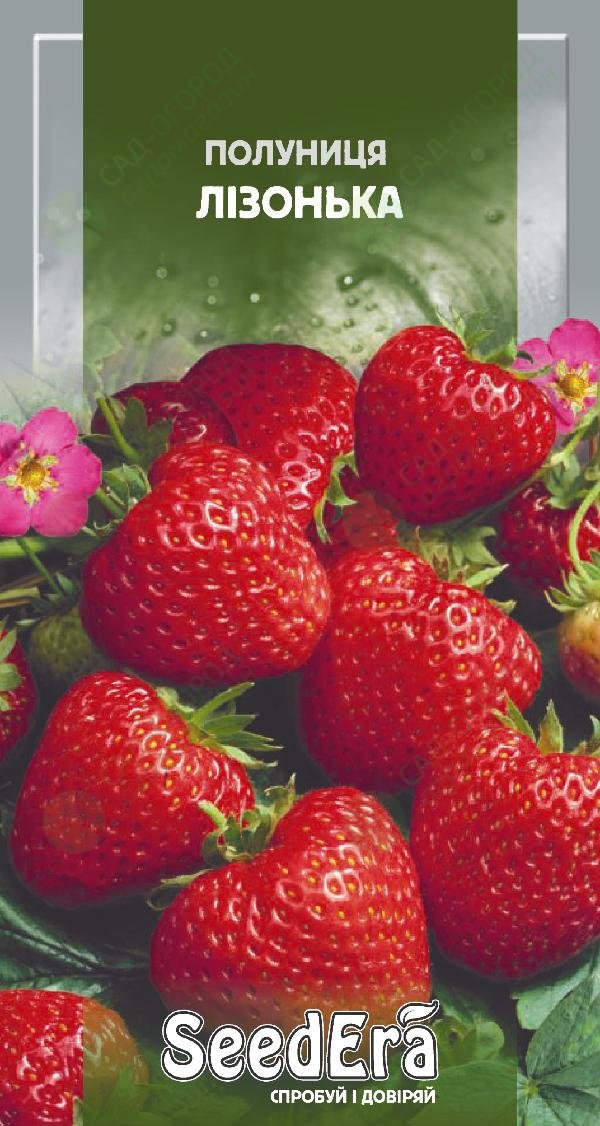 Успейте подкормить этим клубнику до появления ягод – и урожаем завалит огород