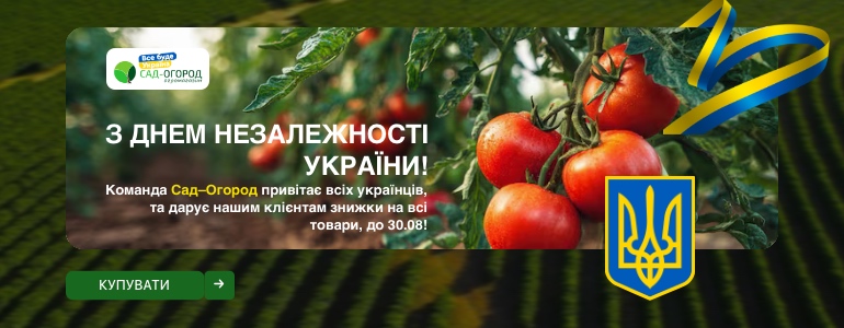 С днем незалежності України!